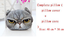 Load image into Gallery viewer, 40cm*38cm New 3D cat emoji Pillow cushion Personality Car Cushion Creative Cat shape Nap smiley face pillow Cute seat coussin-42-