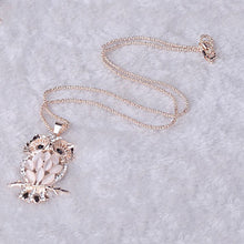 Load image into Gallery viewer, LNRRABC Women Sweater Chain Necklace Owl Design Rhinestones Crystal Pendant Necklaces Jewelry Clothing Accessories Drop Shipping--166--