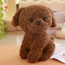 Load image into Gallery viewer, Mini teddy bear dog kids toys stuffed animals pat patrouille feisty pets kawaii plush toys for children  birthday gifts--50--