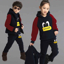 Load image into Gallery viewer, Boy Girls Winter Jacket Children Set Clothing Child Sports Thick Fleece Hoodies+ Pants+ Vest 3pcs Sweatshirts Suits kids clothes--131--